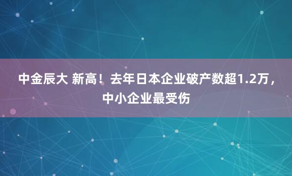 中金辰大 新高！去年日本企业破产数超1.2万，中小企业最受伤